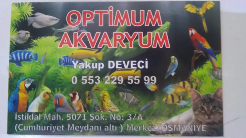 Optimum Akvaryum foto 2