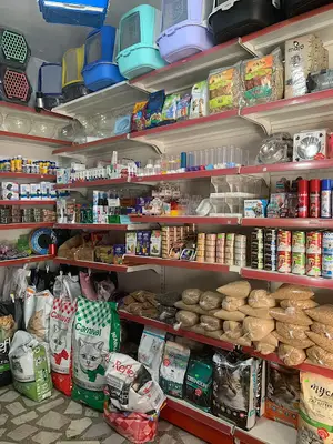 Rüzgar Kedi & Köpek oteli