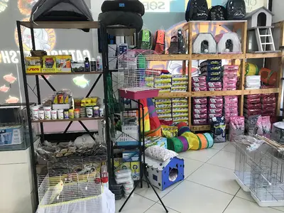Catfish Petshop&Pet kuaför