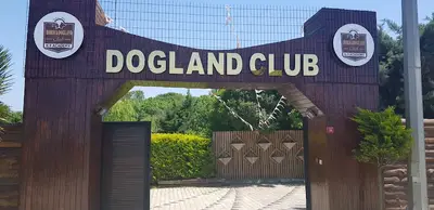Dogland Club Köpek Eğitim ve Veterinerlik fotoğrafı