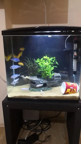 TEZ AKVARYUM(PET SHOP) & SPORTİF AV MALZEMELERİ foto 2