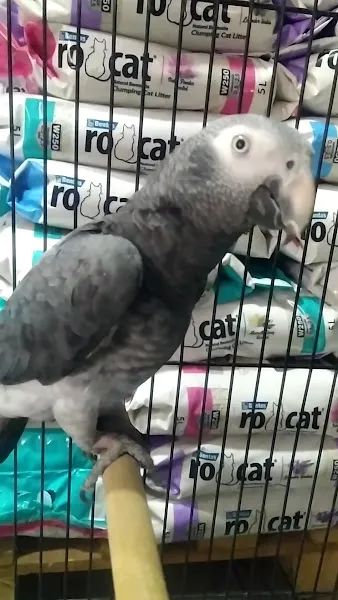 Eymen Pet Shop & Akvaryum foto 2