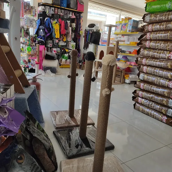 Pet's Mod Evcil Hayvan Dünyası foto 2