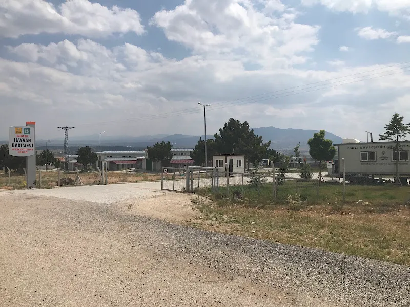 KONYA HAYVAN BARINAĞI (GEÇİCİ BAKIMEVİ) foto 2