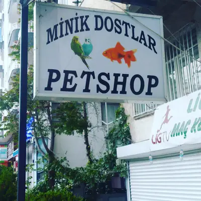 ŞİLA & MİNİK DOSTLAR DİYARBAKİR PET SHOP AKVARYUM