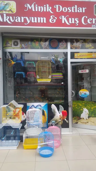 ŞİLA & MİNİK DOSTLAR DİYARBAKİR PET SHOP AKVARYUM foto 2