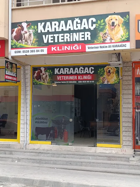 Erzincan Karaağaç Veteriner Kliniği foto 2