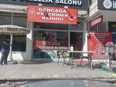 İncesu Gencağa veteriner kliniği