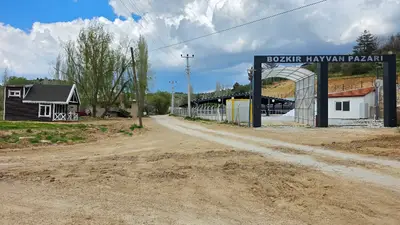 Bozkır Hayvan Pazarı