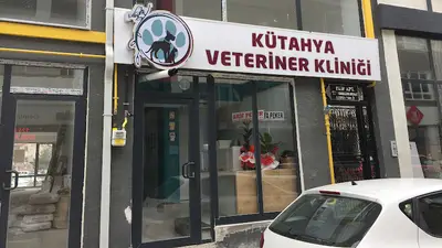 Bülent Pınarbaşı Veteriner Kliniği