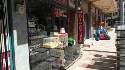 HoBi PeTSHoP SORGUN