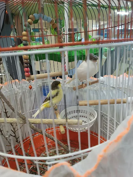 Petshop Edremit(Tropikal Petshop) foto 2