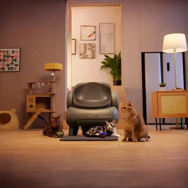 Safari Pet Yıldızkent Yeni Bulvar Şubesi foto 2
