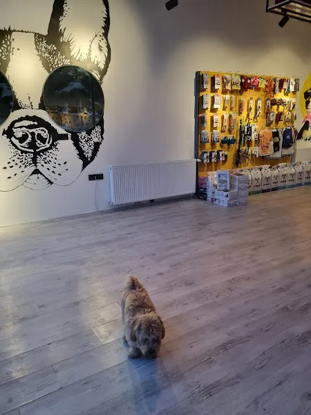 Tele🐾 (Telepatik) Pet Shop & Kuaför (alomamanigde.com) foto 1