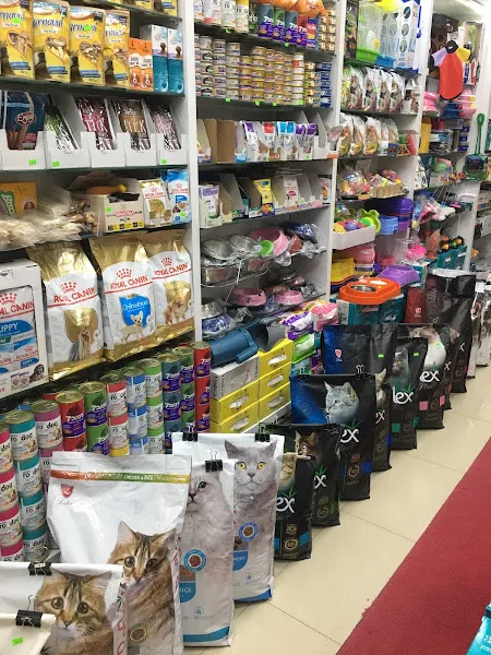 ÇiPet Petshop Sivas foto 2