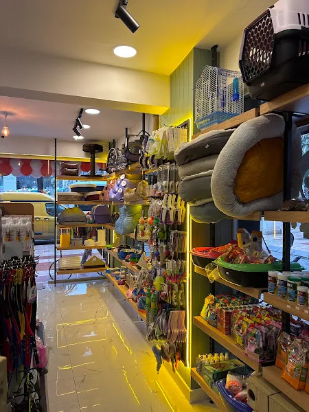 Aydın Pet Market foto 2