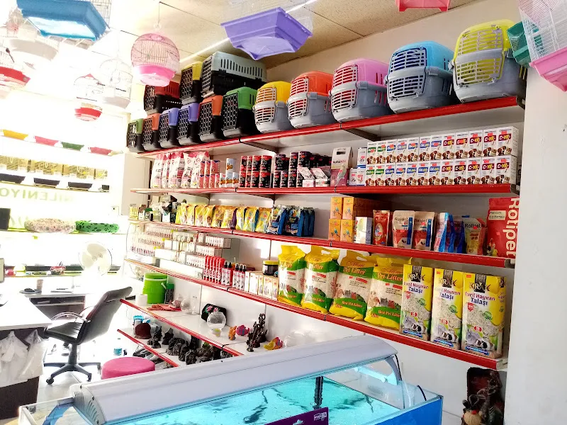 EMPATİ PETSHOP foto 2