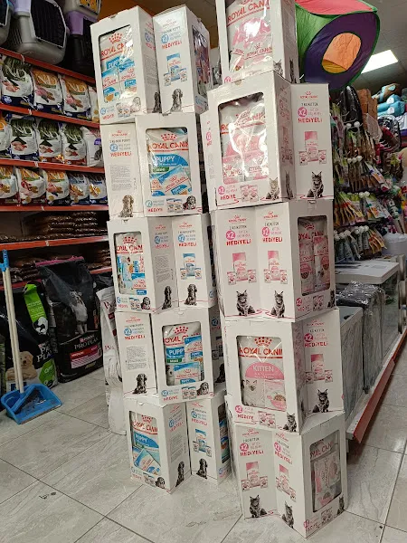 Polatlı Pati Petshop foto 2