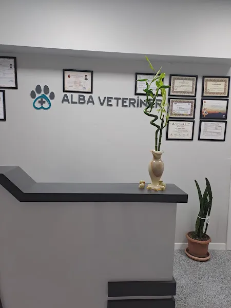 Beylikdüzü Hermes Veteriner Kliniği foto 2
