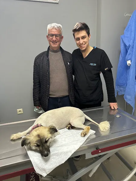 Hasköy Veteriner Kliniği foto 2