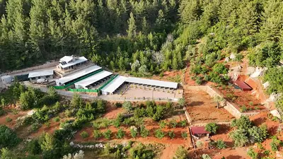 Alanya Pet Hotel fotoğrafı