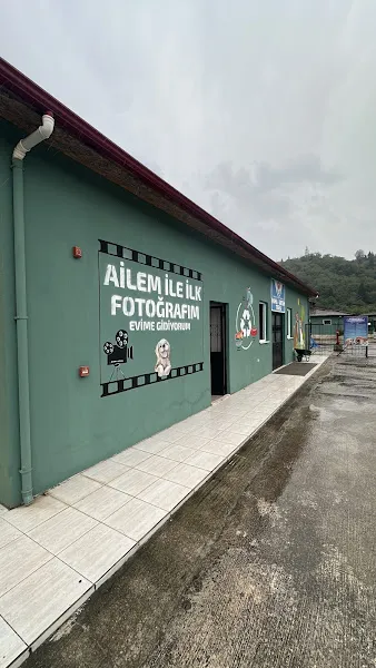 Trabzon Belediyesi Hayvan Barınağı foto 1