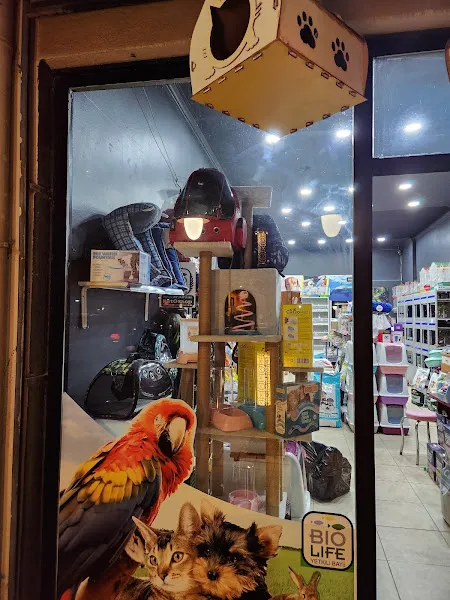 Kütahya Akvaryum Petshop foto 2