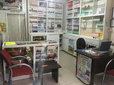 Aydemir Veteriner Kliniği