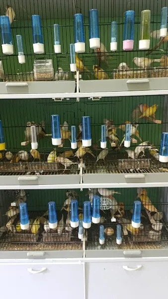 Yilmaz Petshop foto 2