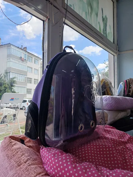 SAFRANBOLUPETSHOP foto 2