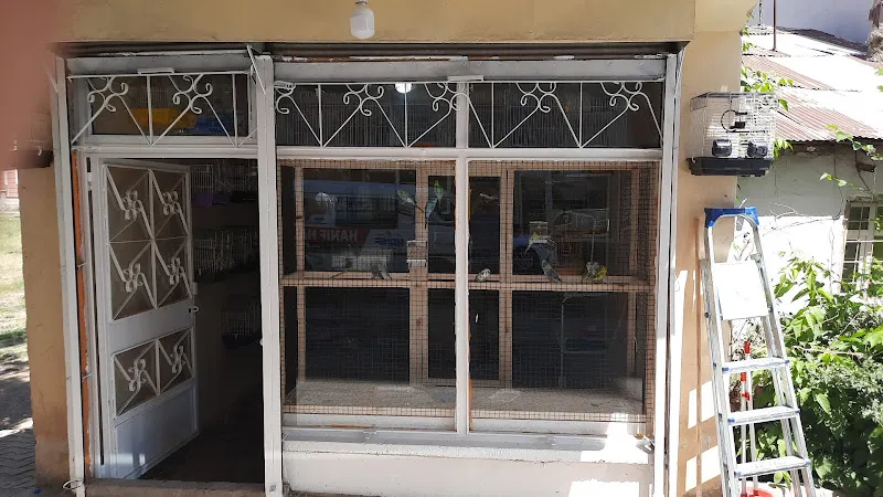 Muş petshop2 foto 1