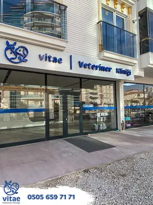 Vitae Veteriner Kliniği
