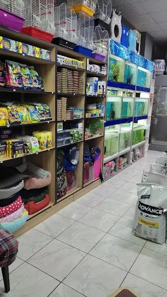 Ceren petshop foto 2
