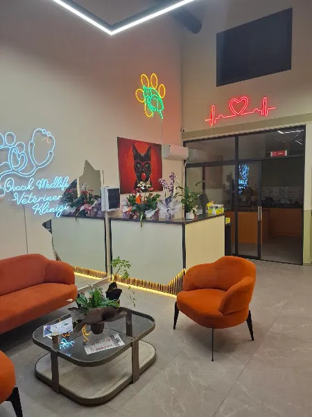 Ovacık Medlife Veteriner Kliniği foto 1