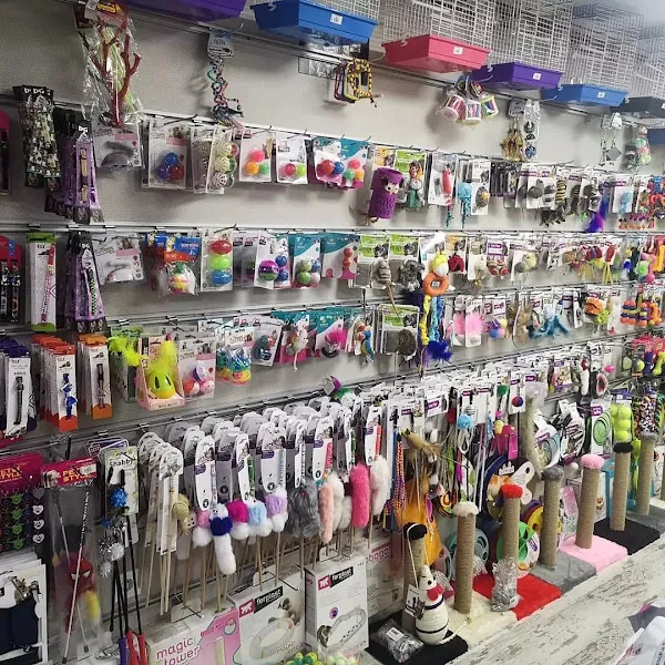 Çorlu Tekir Pet Shop 3 foto 2
