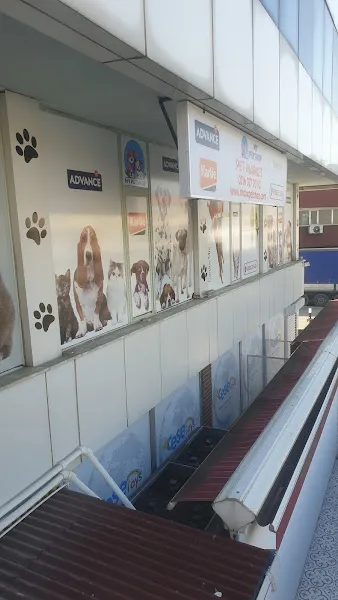My Petshop foto 2