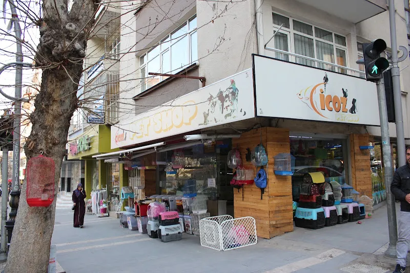CİCOZ PETSHOP foto 1