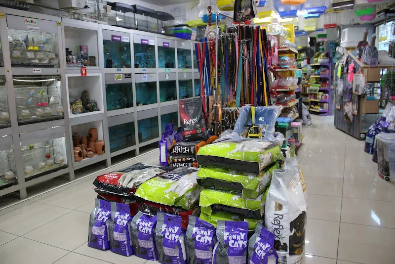 CİCOZ PETSHOP foto 2