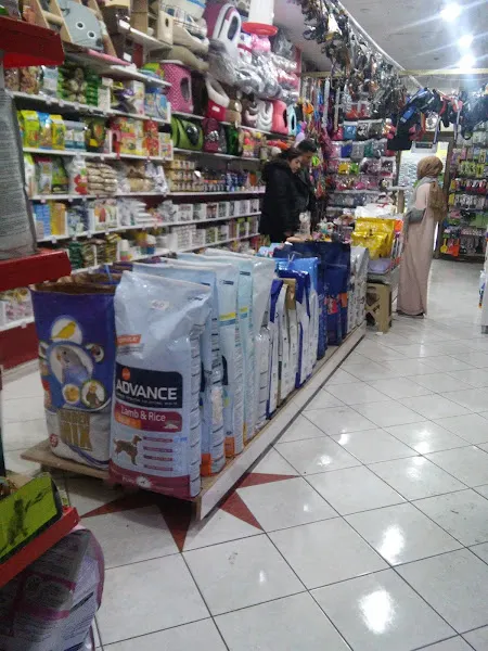 KAFKASYALI PET SHOP foto 1