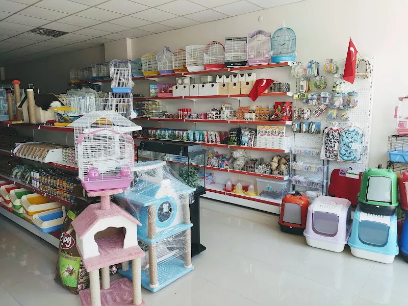 Girne Pet Market foto 2