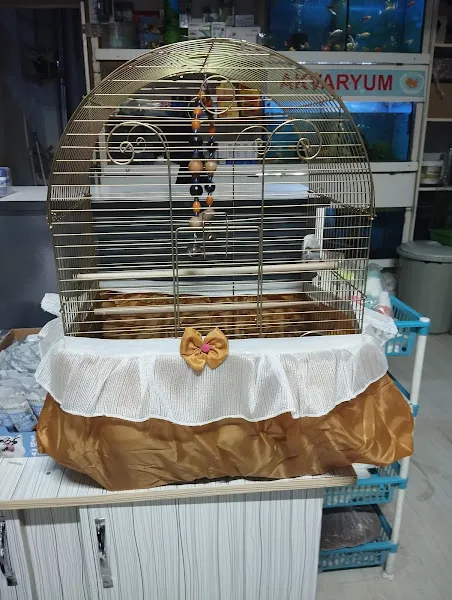 BOLU PET MELİS KUŞ EVİ foto 2