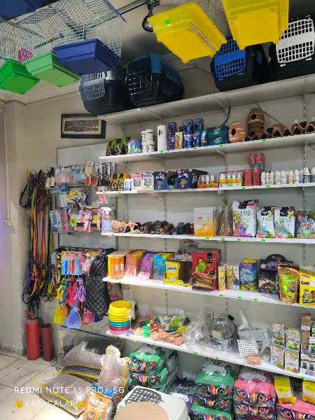 Sivas petshop AŞİYAN PETSHOP foto 2