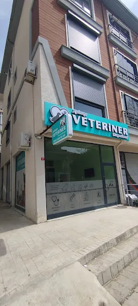 Aydıntepe Veteriner Kliniği foto 1