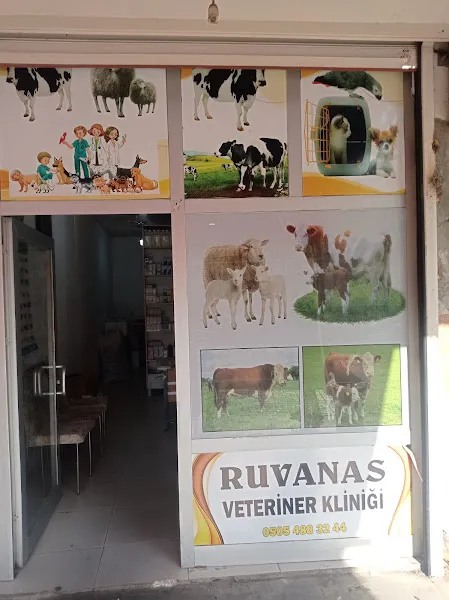 RUVANAS VETERİNER KLİNİĞİ foto 1