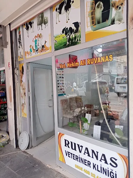 RUVANAS VETERİNER KLİNİĞİ foto 2
