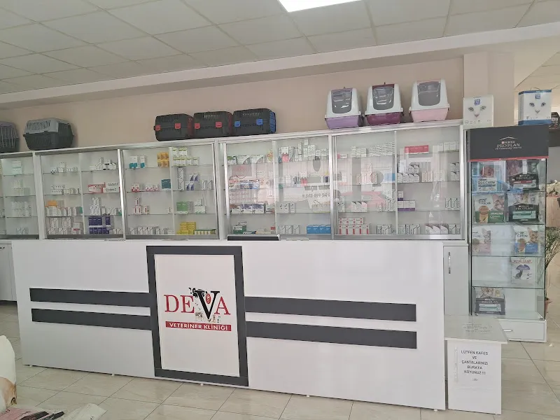DEVA VETERİNER KLİNİĞİ foto 1