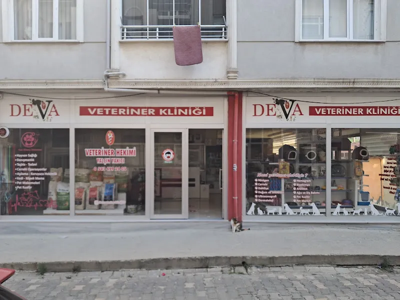 DEVA VETERİNER KLİNİĞİ foto 2