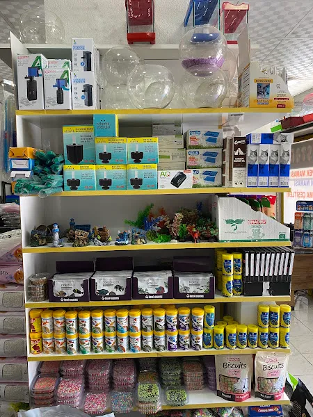 Cıvıltı Pet Store foto 2
