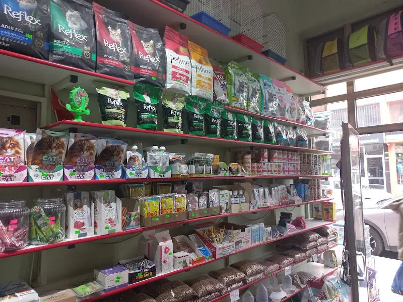 Sivas Petshop Yiğido Petshop foto 2