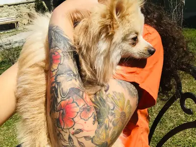 Van Edremit Doğa Pet Veteriner Kliniği ve Köpek Oteli
